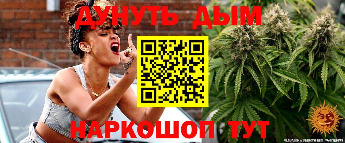 Бошки марихуана план Бердск